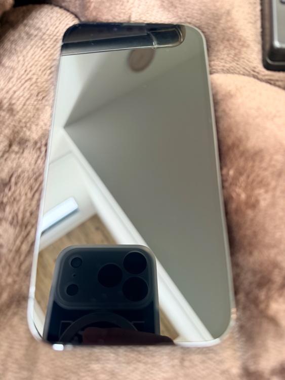 iPhone 13 Pro 256GB SIMフリー（スマホ）の商品画像 - 査定依頼日：2026年2月27日 - 最高査定価格：49,000円