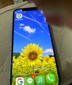 iPhone iPhone 12 64GB SIMフリー（スマホ）の商品画像 - 査定依頼日：2026年8月2日 - 最高査定価格：20,000円