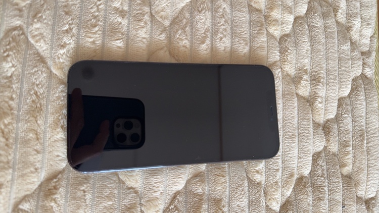 iPhone12ProMAX（スマホ）の商品画像 - 査定依頼日：2026年3月31日 - 最高査定価格：47,000円