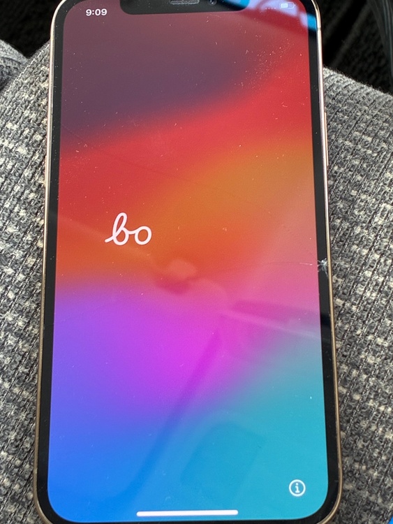 iPhone iPhone 12 Pro 256GB docomo（スマホ）の商品画像 - 査定依頼日：2026年7月1日 - 最高査定価格：35,000円