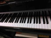 C1L 5911342（ピアノ・楽器・PA機材）の商品画像 - 査定依頼日：2026年1月28日 - 最高査定価格：50,000円