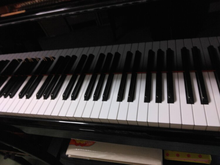 C1L 5911342（ピアノ・楽器・PA機材）の商品画像 - 査定依頼日：2026年1月28日 - 最高査定価格：50,000円