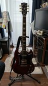 SG スタンダード