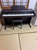 CELVIANO AP-21（ピアノ・楽器・PA機材）の商品画像 - 査定依頼日：2026年1月26日 - 最高査定価格：5,000円