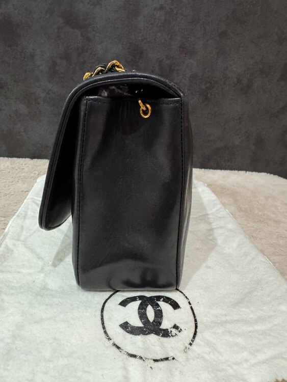 ダイアナフラップ（ブランドバッグ）の商品画像 - 査定依頼日：2025年3月29日 - 最高査定価格：300,000円