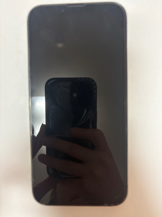 iPhone iPhone 13 Pro 256GB SIMフリー（スマホ）の商品画像 - 査定依頼日：2026年9月22日 - 最高査定価格：29,000円