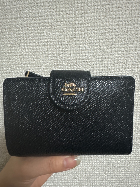 その他 コーチ （ブランドバッグ）の商品画像 - 査定依頼日：2026年3月29日 - 最高査定価格：1,500円