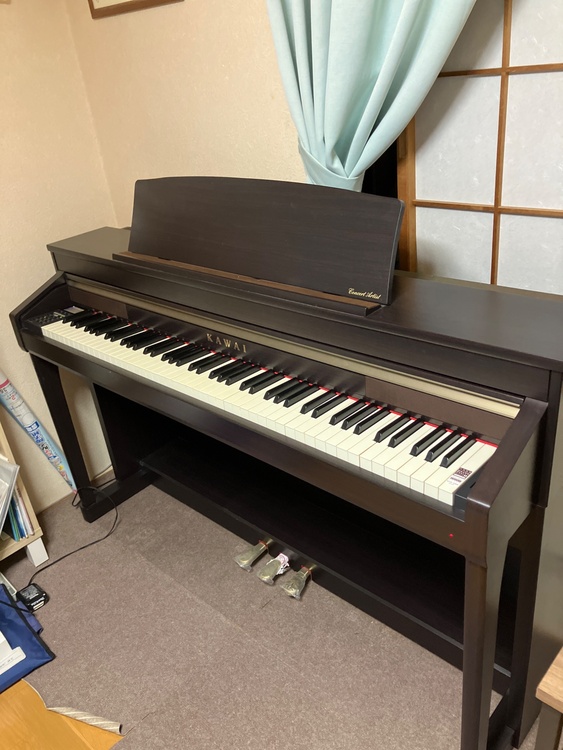 CA67R（ピアノ・楽器・PA機材）の商品画像 - 査定依頼日：2026年1月11日 - 最高査定価格：3,000円