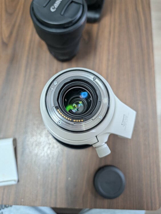 RF100-500（カメラ）の商品画像 - 査定依頼日：2026年2月18日 - 最高査定価格：230,000円