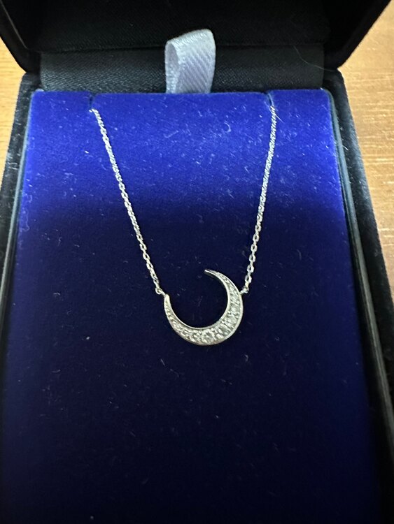 LKサロン　月ミニネックレス（宝石）の商品画像 - 査定依頼日：2024年2月3日 - 最高査定価格：25,000円