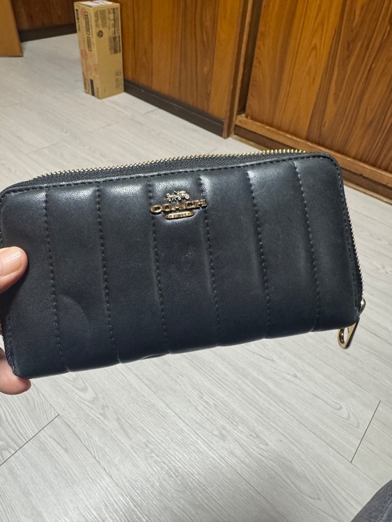 その他 コーチ （ブランドバッグ）の商品画像 - 査定依頼日：2026年3月22日 - 最高査定価格：1,500円