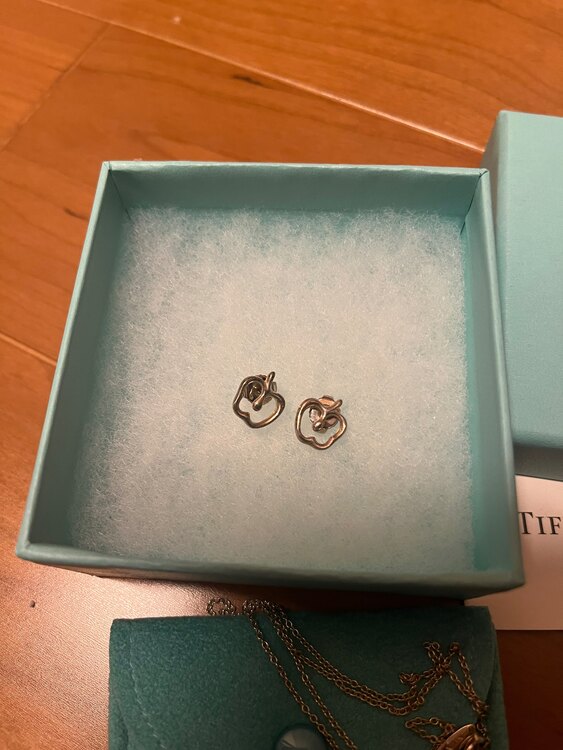ティファニー　アップル　ピアス　ネックレス（金・貴金属）の商品画像 - 査定依頼日：2025年3月17日 - 最高査定価格：22,000円