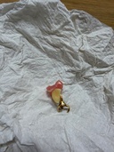 入れ歯（金・貴金属）の商品画像 - 査定依頼日：2026年1月27日 - 最高査定価格：5,000円