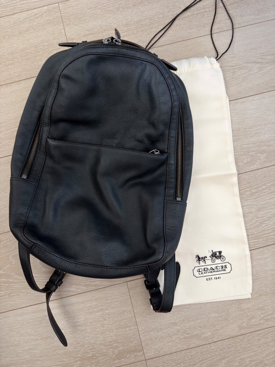 バックパック（ブランドバッグ）の商品画像 - 査定依頼日：2026年4月11日 - 最高査定価格：5,000円