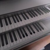 ELS01（ピアノ・楽器・PA機材）の商品画像 - 査定依頼日：2026年5月19日 - 最高査定価格：100,000円