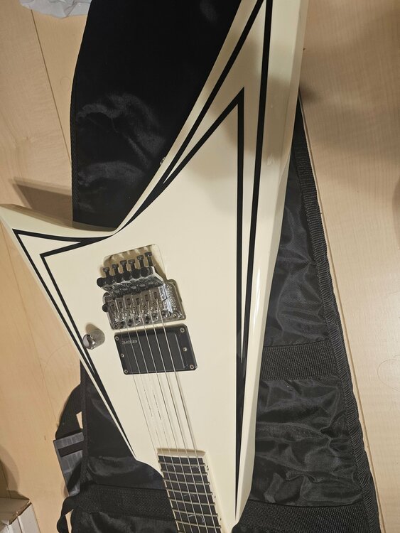 E-ALEXI SCYTHE アレキシ・ライホ シグネイチャー サイス エレキギ（ピアノ・楽器・PA機材）の商品画像 - 査定依頼日：2026年8月12日 - 最高査定価格：55,000円