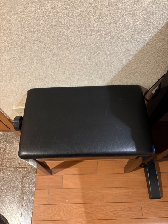 グラビノーパ（ピアノ・楽器・PA機材）の商品画像 - 査定依頼日：2026年1月24日 - 最高査定価格：5,000円