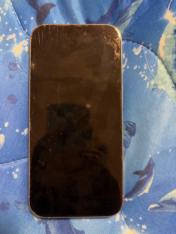 iPhone iPhone 15 Pro 128GB SIMフリー（スマホ）の商品画像 - 査定依頼日：2026年7月19日 - 最高査定価格：49,000円