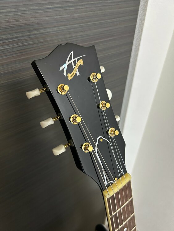 Archtop Tribute AT130 Black Beauty（ピアノ・楽器・PA機材）の商品画像 - 査定依頼日：2026年3月8日 - 最高査定価格：120,000円