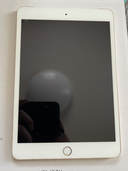 iPad mini3