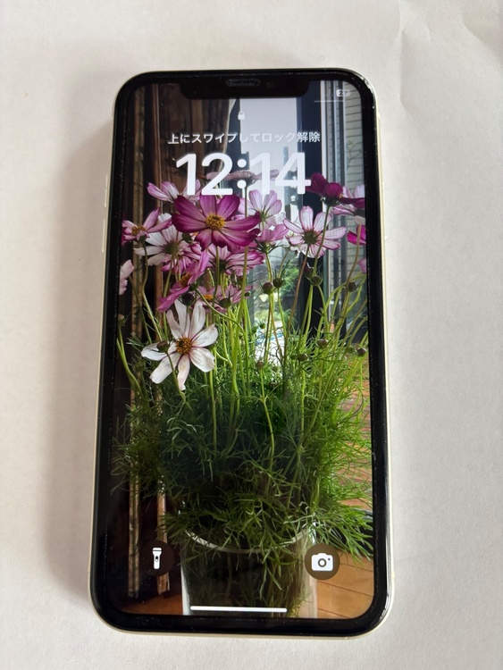 iPhone11 64GB Softbank（スマホ）の商品画像 - 査定依頼日：2026年4月6日 - 最高査定価格：19,000円