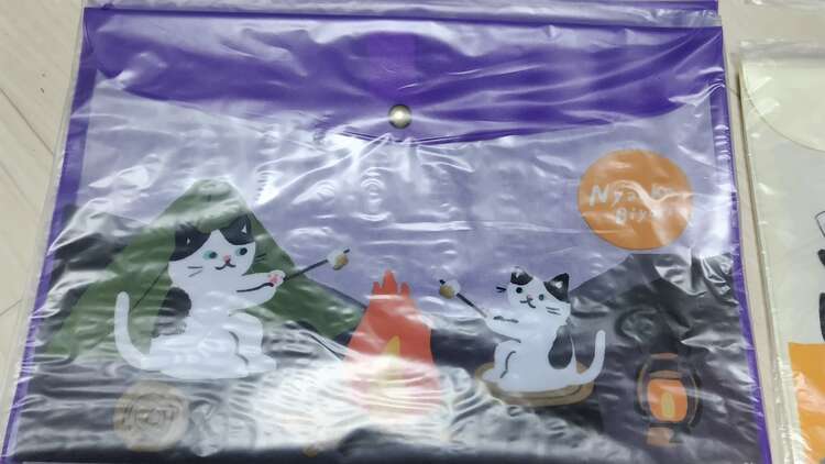 サンスター文具 フラットケース 19点セット（その他のおもちゃ）の商品画像 - 査定依頼日：2024年2月10日