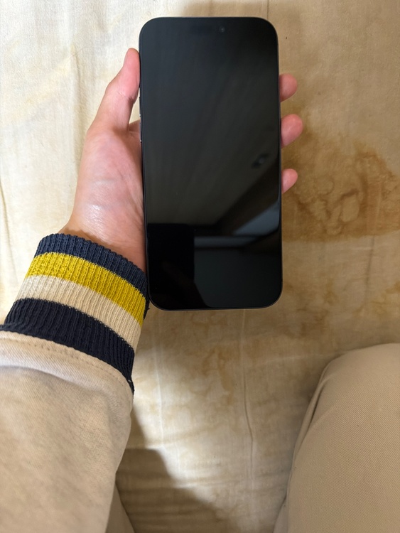 iPhone 17 Pro Max 2TB docomo（スマホ）の商品画像 - 査定依頼日：2026年2月23日 - 最高査定価格：263,000円