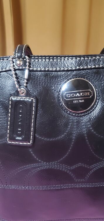 その他 コーチ （ブランドバッグ）の商品画像 - 査定依頼日：2025年11月13日 - 最高査定価格：3,000円