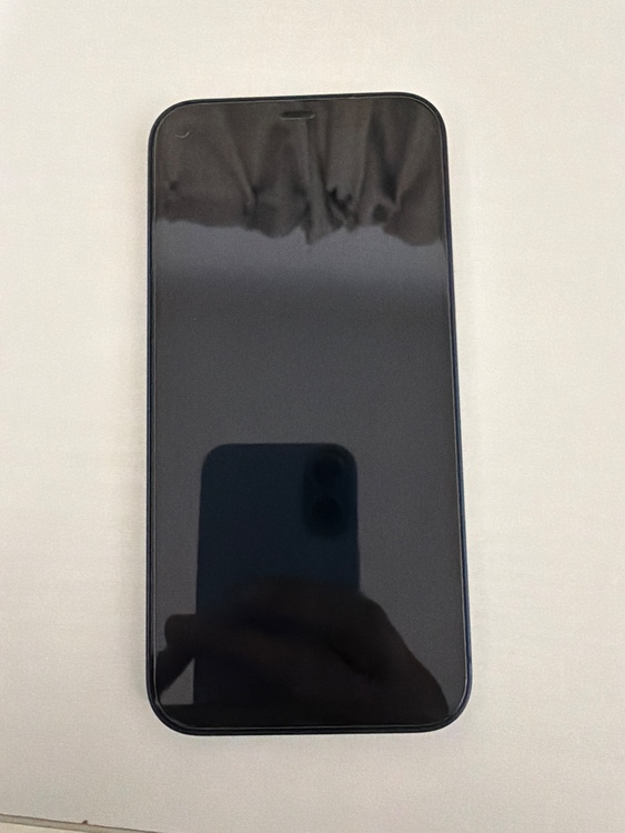 iPhone 12 256GB SIMフリー（スマホ）の商品画像 - 査定依頼日：2026年3月5日 - 最高査定価格：29,000円