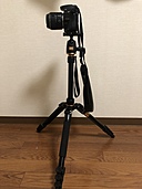 Nikon D5500 ダブルズームキット ブラック（カメラ）の商品画像 - 査定依頼日：2019年11月2日 - 最高査定価格：37,000円