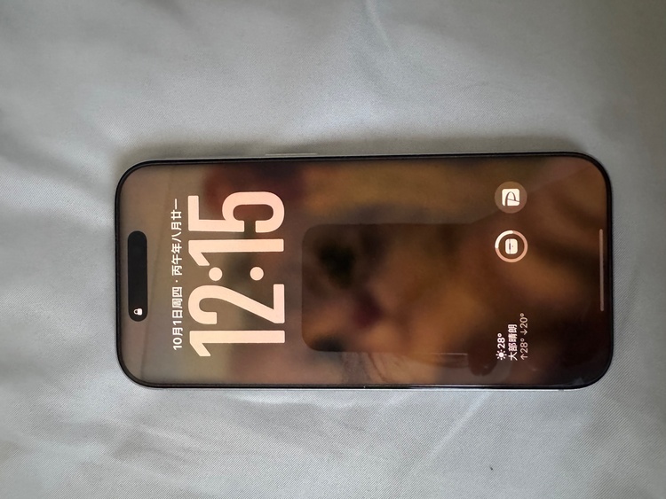 iPhone iPhone 17 Pro 256GB SIMフリー（スマホ）の商品画像 - 査定依頼日：2026年10月1日 - 最高査定価格：150,000円