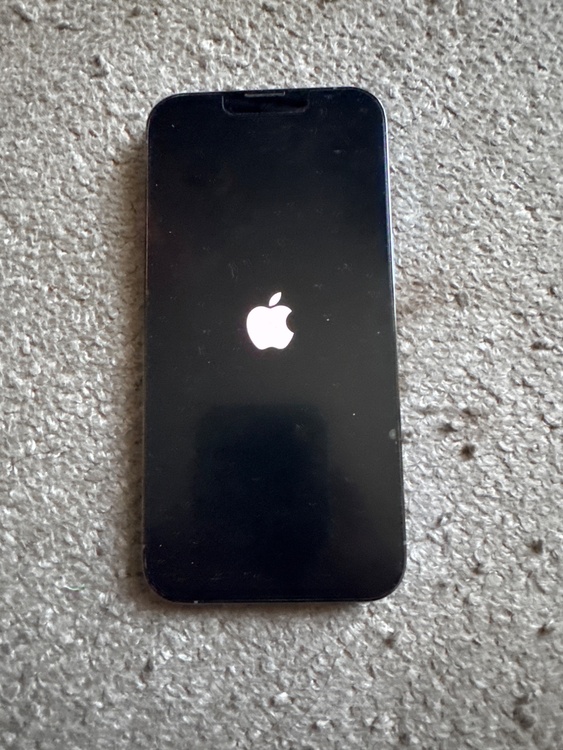 iPhone 13 Pro 256GB SIMフリー（スマホ）の商品画像 - 査定依頼日：2026年3月29日 - 最高査定価格：49,000円