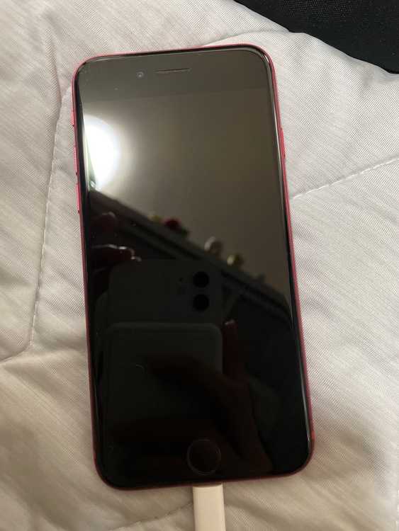 iPhone iPhone SE (第 2 世代) 64GB SIMフリー（スマホ）の商品画像 - 査定依頼日：2026年7月18日 - 最高査定価格：8,000円
