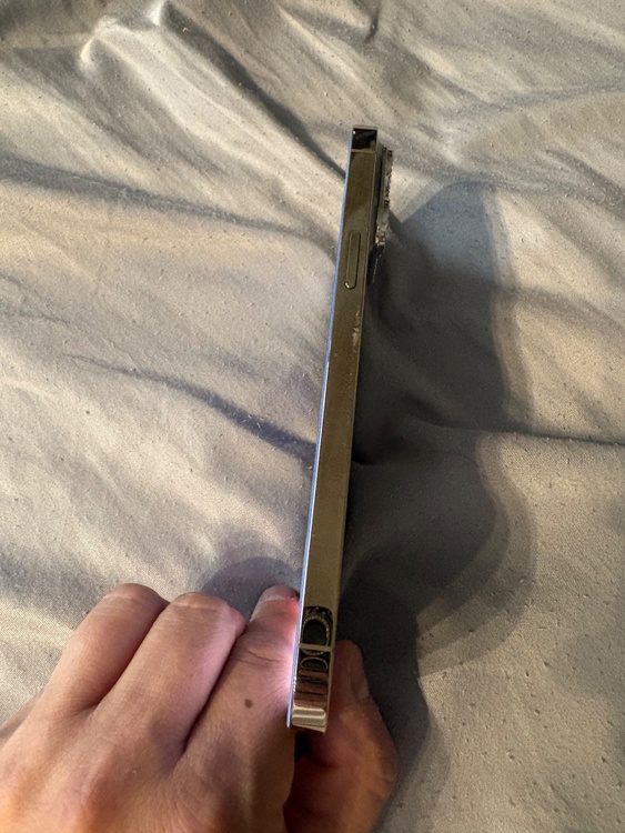 iPhone13ProMax（スマホ）の商品画像 - 査定依頼日：2026年7月3日 - 最高査定価格：53,000円