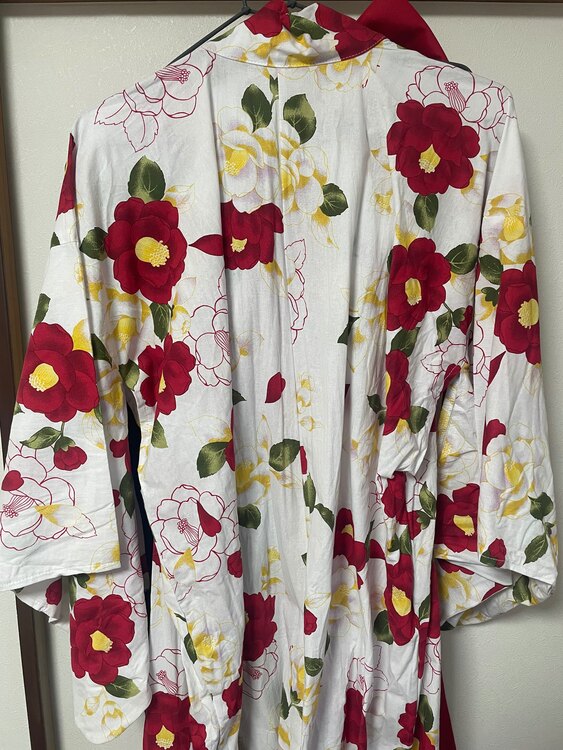 浴衣？着物？（着物）の商品画像 - 査定依頼日：2025年3月10日 - 最高査定価格：300円