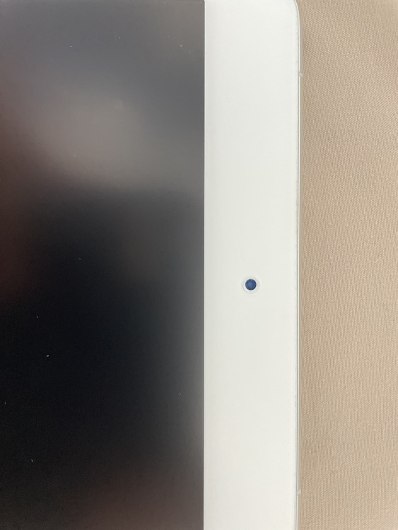 iPad mini 5 Silver 64GB cellularモデル（PC・タブレット）の商品画像 - 査定依頼日：2021年11月2日 - 最高査定価格：26,500円