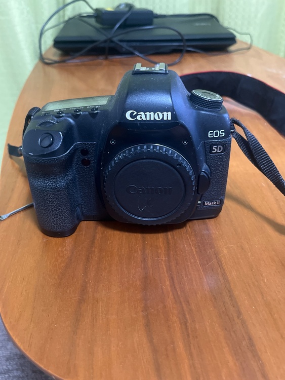 eos5d（カメラ）の商品画像 - 査定依頼日：2026年3月23日 - 最高査定価格：12,100円