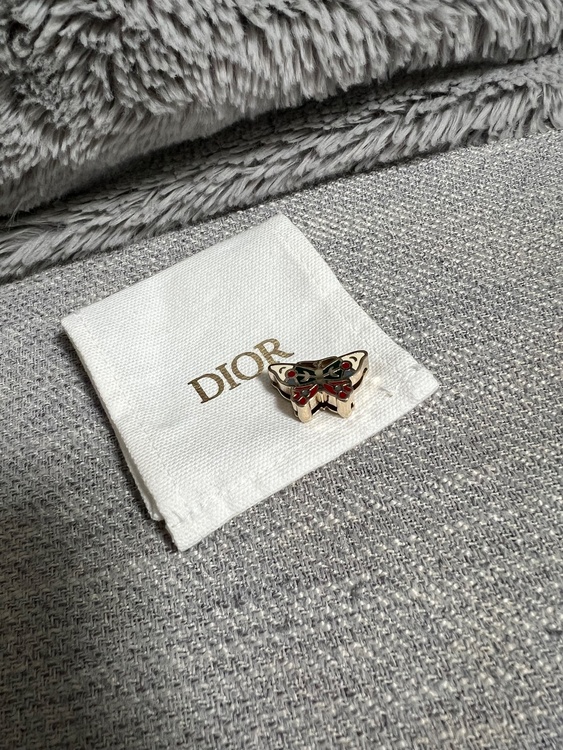 ディオール  （ブランドバッグ）の商品画像 - 査定依頼日：2026年1月18日 - 最高査定価格：95,000円