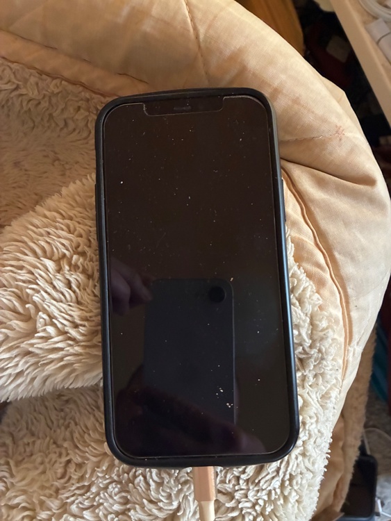 iPhone 12 64GB docomo（スマホ）の商品画像 - 査定依頼日：2026年3月6日 - 最高査定価格：20,000円