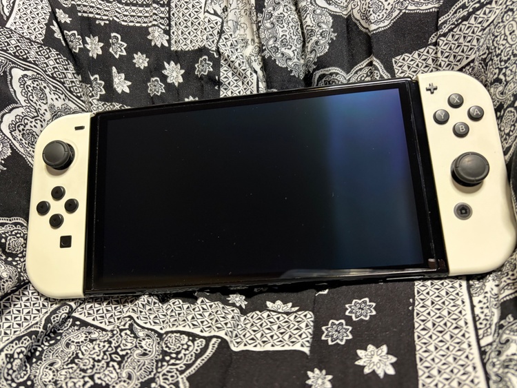 Switch 有機EL（ゲーム機本体・ゲームソフト）の商品画像 - 査定依頼日：2026年8月13日 - 最高査定価格：17,000円