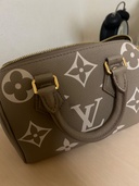 ルイヴィトン スピーディー （ブランドバッグ）の商品画像 - 査定依頼日：2026年3月31日 - 最高査定価格：310,000円