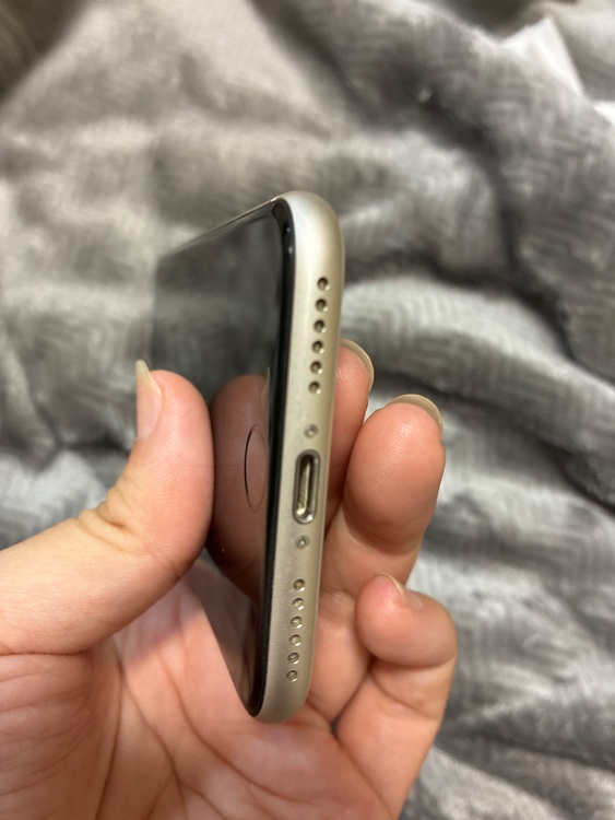 iPhone iPhone SE (第 3 世代) 256GB SIMフリー（スマホ）の商品画像 - 査定依頼日：2026年7月20日 - 最高査定価格：30,000円