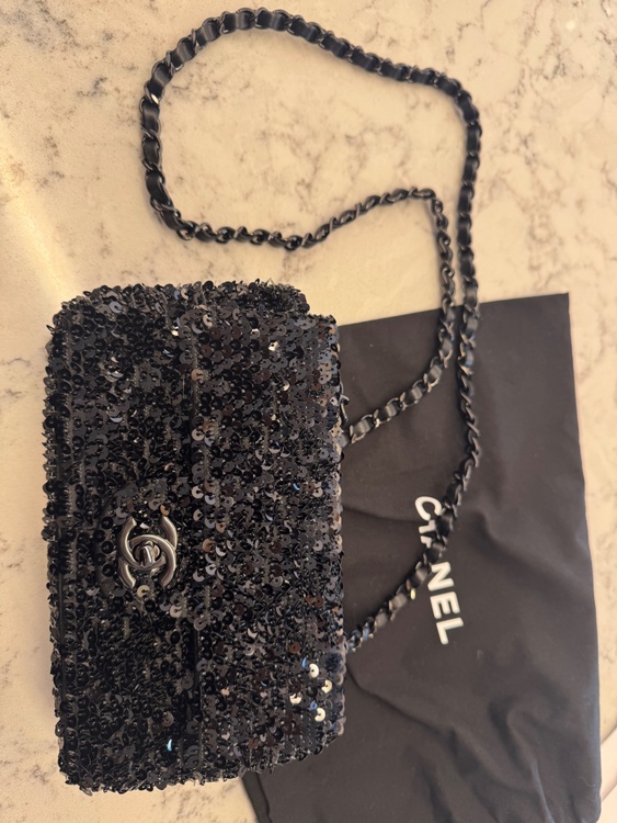 スパンコールショルダーバック（ブランドバッグ）の商品画像 - 査定依頼日：2026年4月5日 - 最高査定価格：510,000円