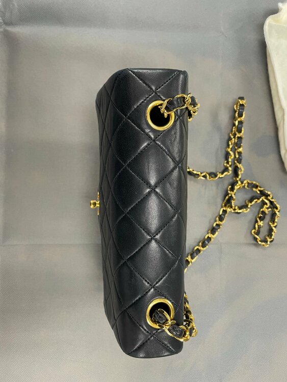 ラムスキン？（ブランドバッグ）の商品画像 - 査定依頼日：2026年3月4日 - 最高査定価格：220,000円