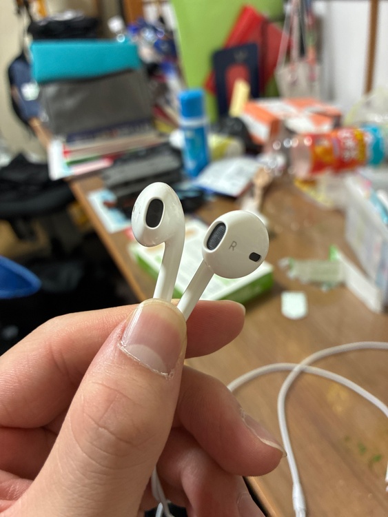Apple 純正 EarPods with Lightning Connecto（オーディオ・スピーカー）の商品画像 - 査定依頼日：2026年4月22日 - 最高査定価格：100,000円