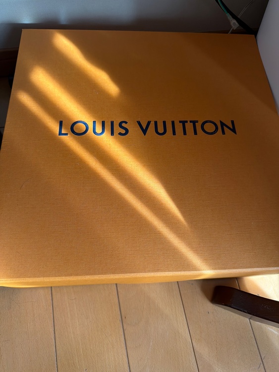 ルイヴィトン ルイヴィトン(その他) （ブランドバッグ）の商品画像 - 査定依頼日：2026年2月22日 - 最高査定価格：400,000円