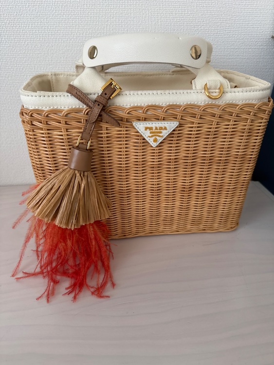 カゴバック（ブランドバッグ）の商品画像 - 査定依頼日：2025年8月22日 - 最高査定価格：30,000円