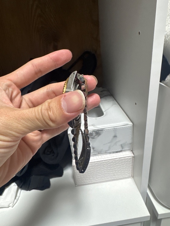 ロレックス GMTマスター （高級時計）の商品画像 - 査定依頼日：2026年3月5日 - 最高査定価格：1,600,000円