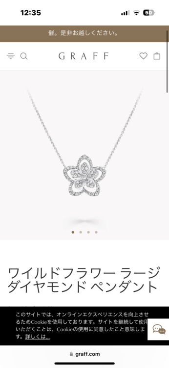 グラフ ワイルドフラワー ダイヤモンド ラージ　ネックレス（宝石）の商品画像 - 査定依頼日：2023年5月31日 - 最高査定価格：600,000円