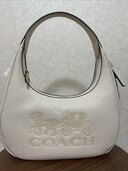 その他 コーチ （ブランドバッグ）の商品画像 - 査定依頼日：2024年11月28日 - 最高査定価格：12,000円